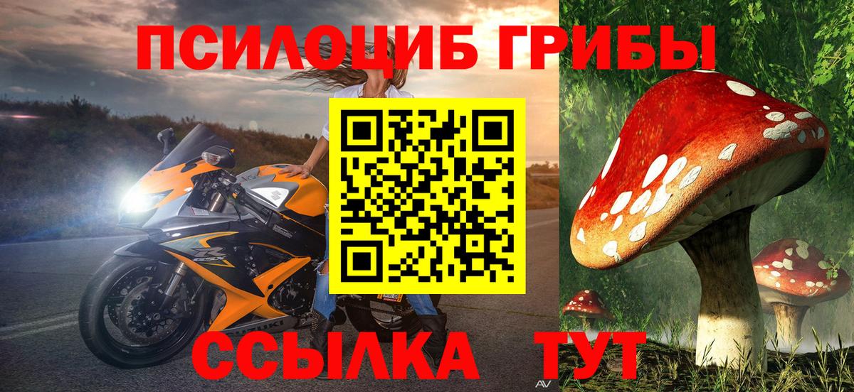 Галлюциногенные грибы Magic Shrooms  наркошоп  Звенигород  Вход с VPN 