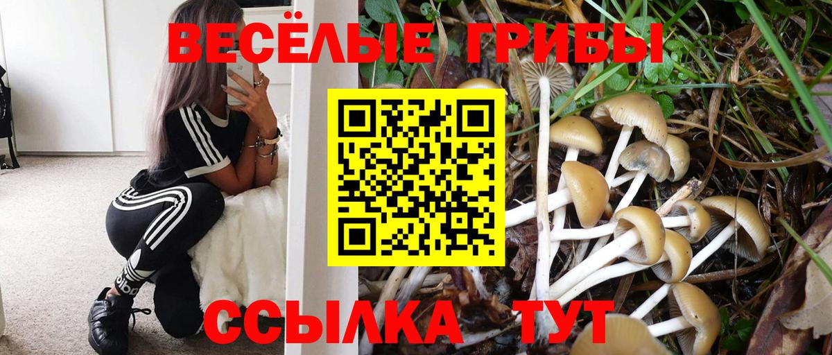 Галлюциногенные грибы Cubensis Звенигород